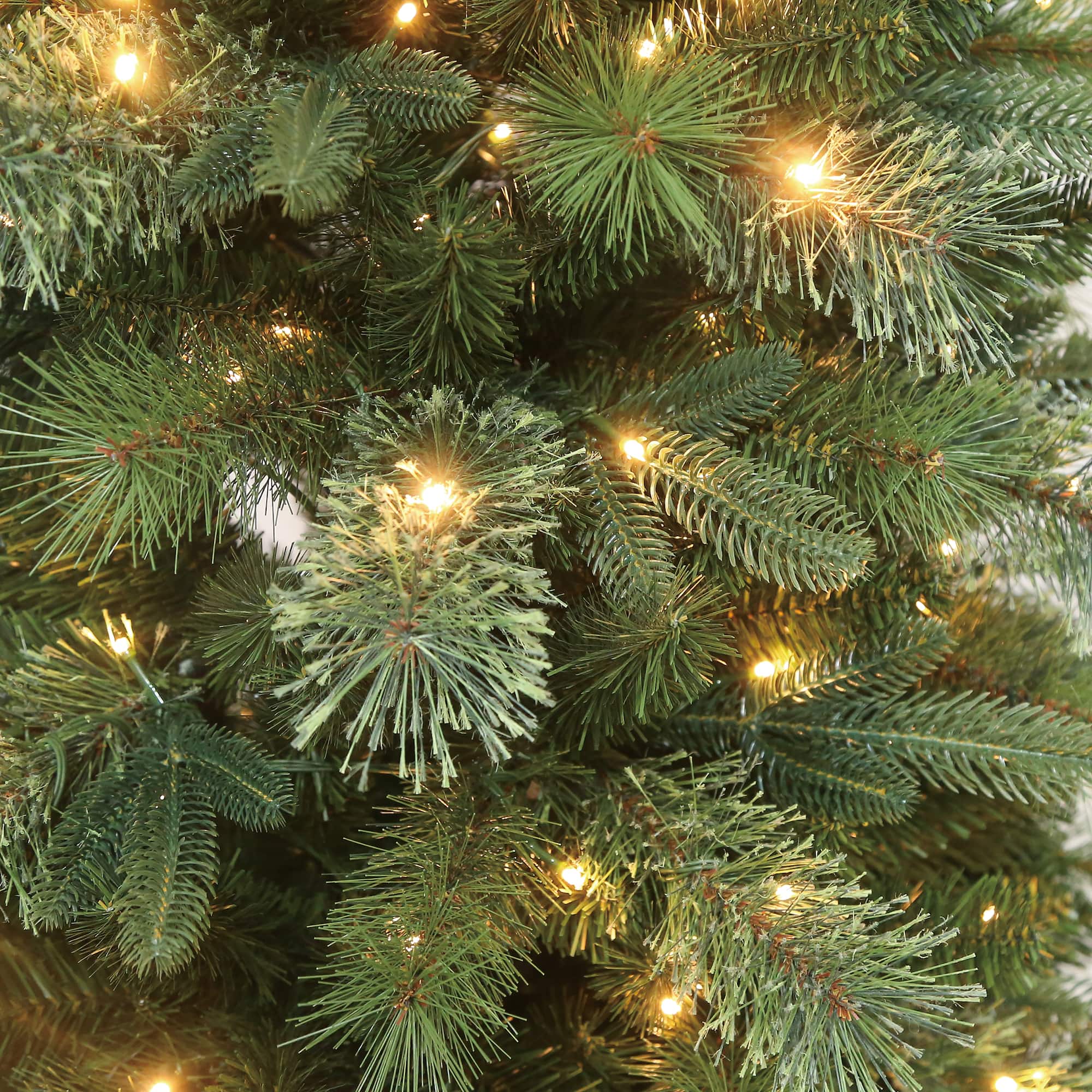 6ft. Pre-Lit Sierra Spruce Artificial Christmas Tree, Warm White LED Lights by Ashland®